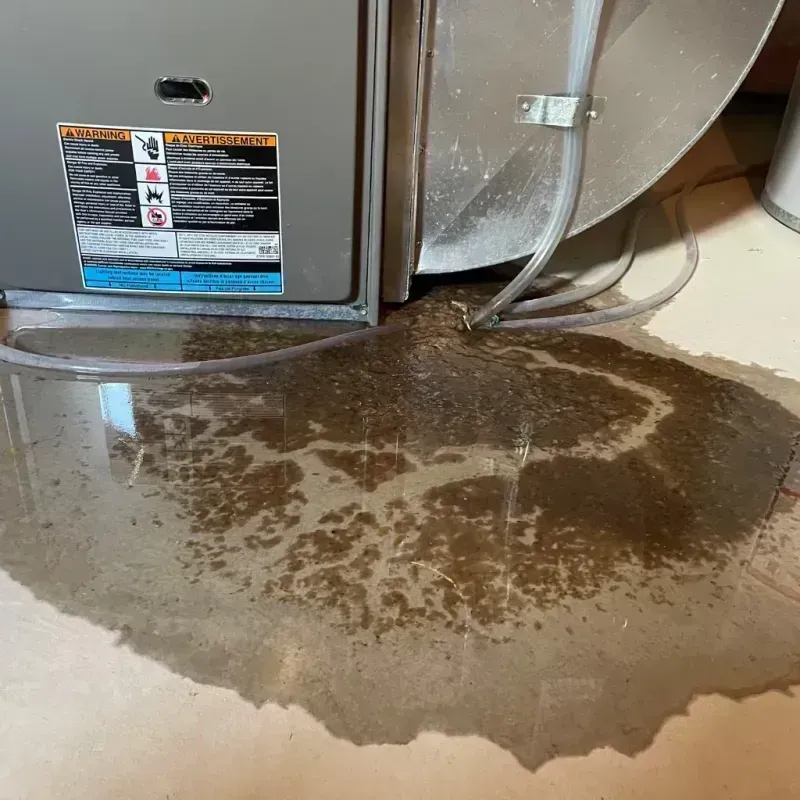 Appliance Leak Cleanup in Hancock, ME